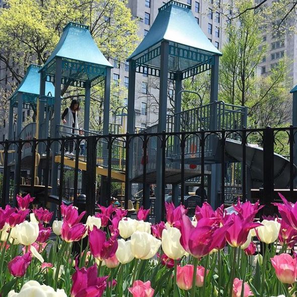Playground in Madison Square Park