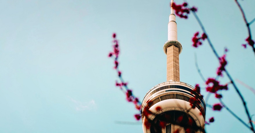 Toronto's CN Tower with flowers